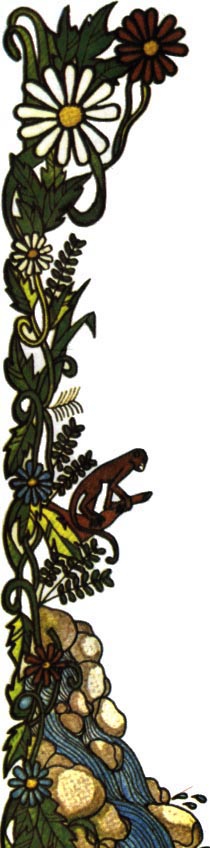 Rio Colorado Lodge in Costa Rica