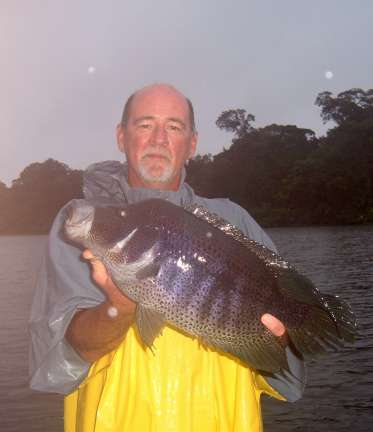 Costa Rica Rainbow Bass Fishing