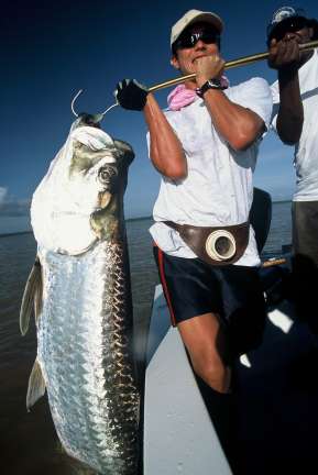 Tarpon fishing in Costa Rica